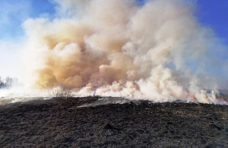 Пожар на Житомирщине: в горящей траве погибла пожилая женщина
