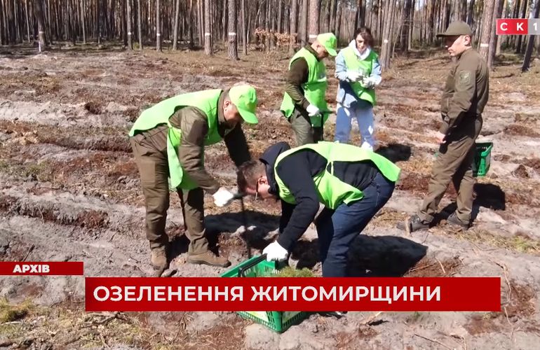 18 жовтня на Житомирщині висадять 1 мільйон дерев. ВІДЕО