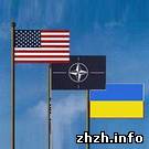 Війна в Україні: В Житомире начался курс подготовки к украинско-американским учениям Репид Трайдент - 2010
