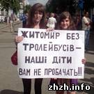 Работники ТТУ пикетировали в Житомире горсовет. ФОТО