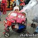 На день города Житомира запланирован «парад колясок» молодых мам. ОБНОВЛЕНО