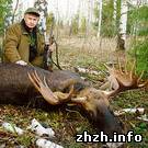 Пограничники задержали браконьеров из Житомира и изъяли смертельно раненого лося