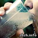 Люди і Суспільство: Житомиряне пьют почти техническую воду - Зиновчук