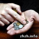 Госкомстат зафиксировал в Житомире сокращение долгов по зарплате и рост доходов