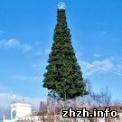 Афіша і Концерти: 17 декабря в 17 часов в Житомире зажгут главную Новогоднюю елку города