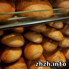 Гроші і Економіка: Николай Дейсан: в Житомире нет оснований для роста цен на хлеб