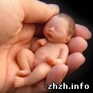 Люди і Суспільство: В 2010 году рождаемость в Житомире превысила смертность - статистика