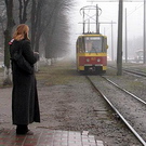 Город: Власти Житомира хотят чтобы трамваи и троллейбусы ходили чаще