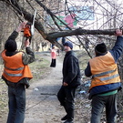 Житомирские чиновники показали дворникам пример, как надо убирать улицы города. ФОТО