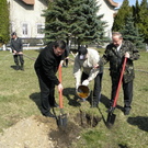 Люди і Суспільство: В Кмитове под Житомиром чиновники высадили сотню деревьев. ФОТО