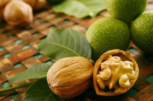 Что мы знаем о полезных свойствах грецкого ореха?
