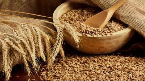 Что стоит знать о плющении зерна?