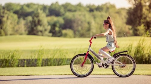 Почему велосипед – идеальное транспортное средство?