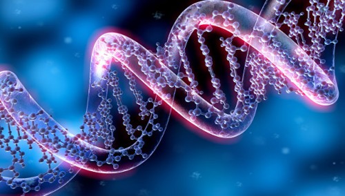 Где можно надежно сделать тест ДНК?