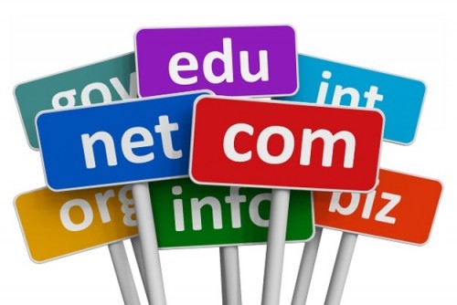 Как выбрать компанию, которая предлагает домен для сайта?