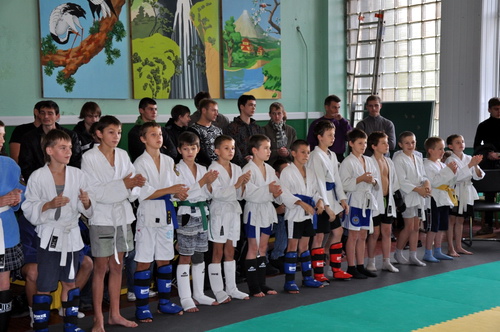Более 100 спортсменов приняли участие в соревнованиях по боевому самбо