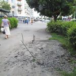 В городском бюджете заложат деньги на асфальтирование раскопок «Житомирводоканала»