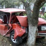 В Житомирской области водитель «KIA» съехал в кювет и врезался в дерево