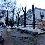 Місто і життя: На бульваре в Житомире порезали деревья и бросили их у дороги. ФОТО