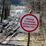 Люди і Суспільство: Жители села Березовка возмущены вырубкой: лес превратился в пустырь. ФОТО