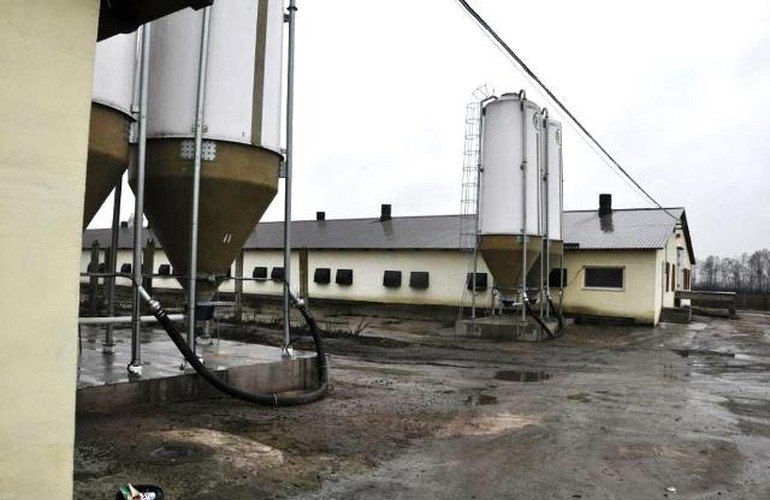 «Не может молоко стоить дешевле, чем вода!» - Житомирские фермеры обратились к нардепам