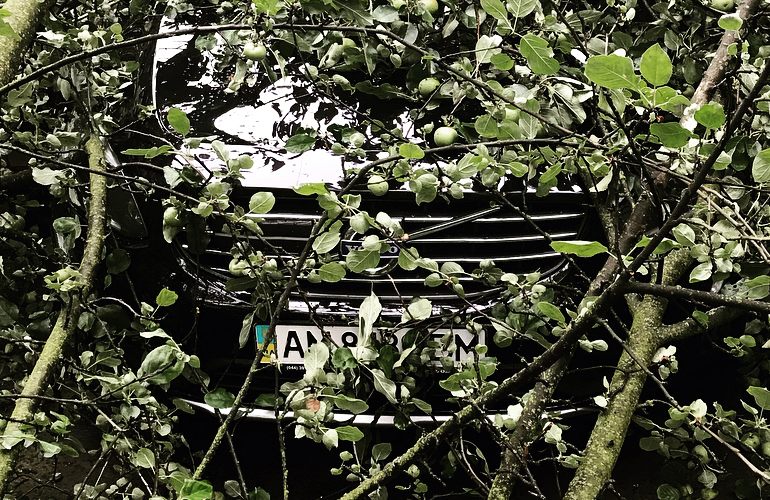 В Житомире на автомобиль Валерия Харчишина упало дерево. ФОТО