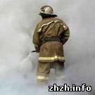Надзвичайні події: Утром в Житомире сгорел ресторан «Никколо»