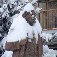 LeonXS Житомир после снегопадов