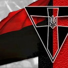 Город: Красно-черный флаг с крестом посередине. В Житомире установят памятник членам ОУН