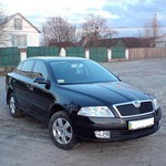 У замначальника Житомирского УБОЗа угнали личный автомобиль «Skoda»