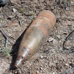 Происшествия: На окраине Житомира нашли артиллерийские снаряды Первой мировой. ФОТО