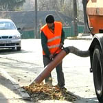 Город: На уборку листьев в Житомире призваны люди и современная техника