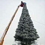 Афиша: Главную Новогоднюю елку Житомира зажгут в понедельник 19 декабря. ПЛАН
