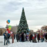 Перед открытием новогодней ёлки в Житомире состоится масштабный флешмоб
