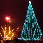 Утвержден план Новогодних мероприятий в Житомире. Главную елку зажгут с фейерверком