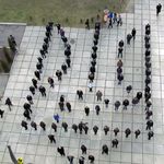 В Житомире сотня студентов выстроилась в тризуб. ФОТО