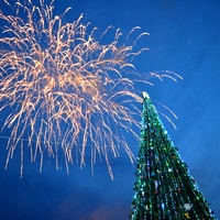 Дебой зажег в Житомире главную новогоднюю елку. ФОТО. ВИДЕО