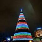 Самая высокая <b>елка</b> в Киеве, а одна из самых маленьких - в Житомире 