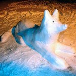 Город: Житомир захватили снежные люди и звери. ФОТО