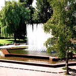 Город: В Житомире гранитные плиты фонтана покрасили бордовой краской. ФОТО