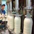  В Житомирской области открыли предприяте по переработке <b>молока</b> «<b>Молоко</b> Полесье» 