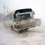 Междугородние автобусы «Житомир-Киев» превратились в холодильники