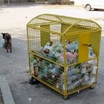 Город: В течении следующих 4 лет Житомир полностью перейдет на раздельный сбор мусора