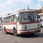 В Житомире на Соборной площади автобус сбил пенсионерку