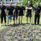  Житомирские патриоты высадили в центре города клумбу цветов. ФОТО 