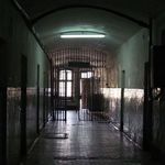 Общество: Группа Житомирских журналистов попала в тюрьму. ФОТО