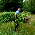 В Житомирской области милиционеры косят мак и коноплю. ФОТО