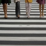 Технологии: Пешеходные переходы Житомира оборудуют специальной подсветкой
