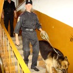 Телефонного «террориста» из России, который заминировал пятиэтажку, задержали в Житомире. ФОТО