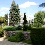Город: В Житомире появился сквер с топиарной стрижкой деревьев. ФОТО